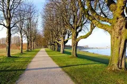 Rhein-Kreis Neuss
