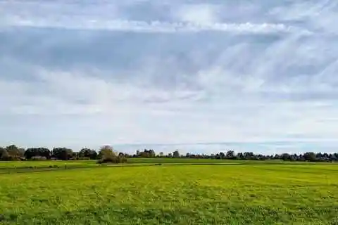 Wangen