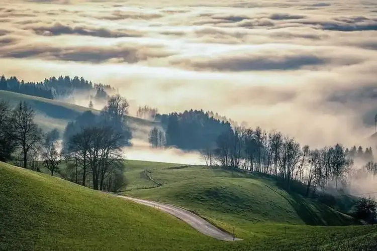 Köniz