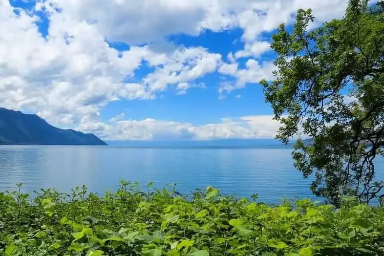 Lausanne