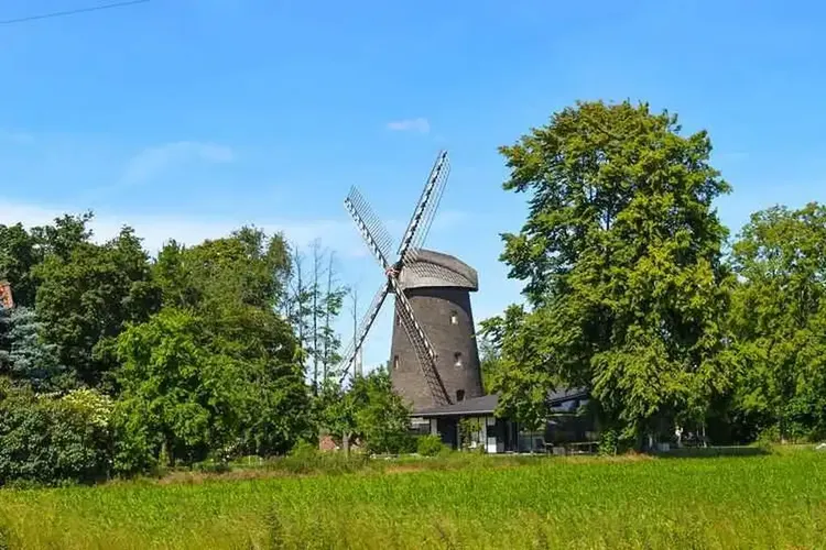 Rheine